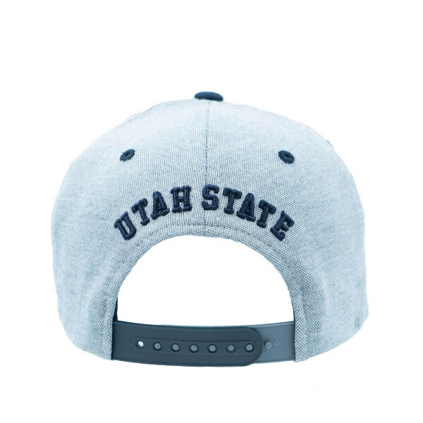 Aggie Bull Snapback Hat Dual Color Adjustable